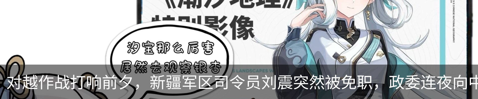 新闻动态