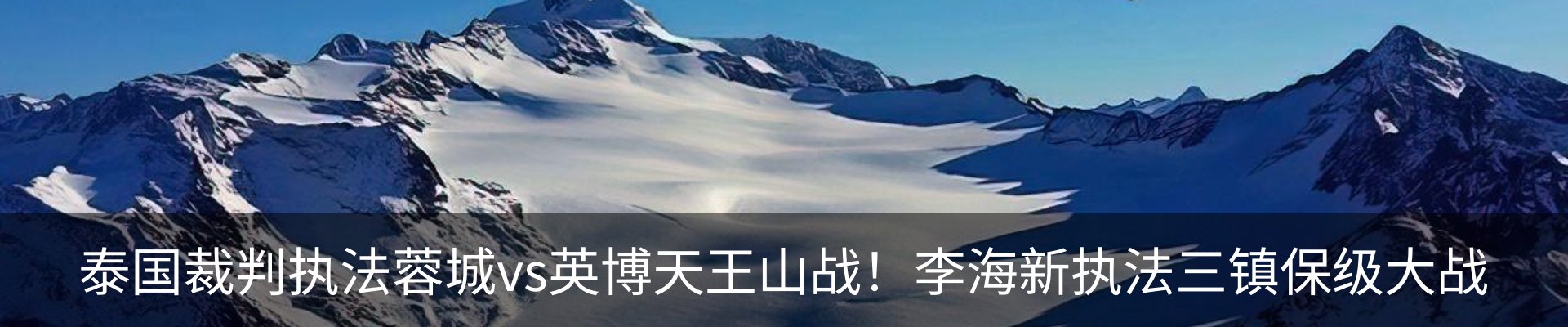 新闻动态