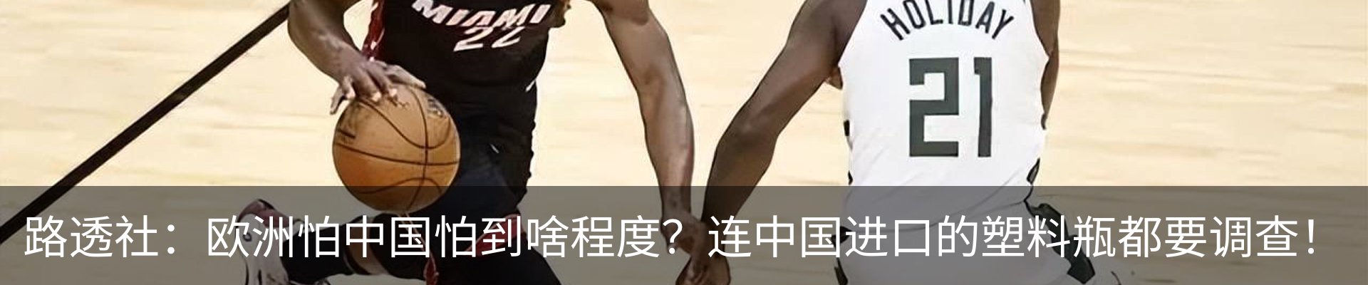 新闻动态