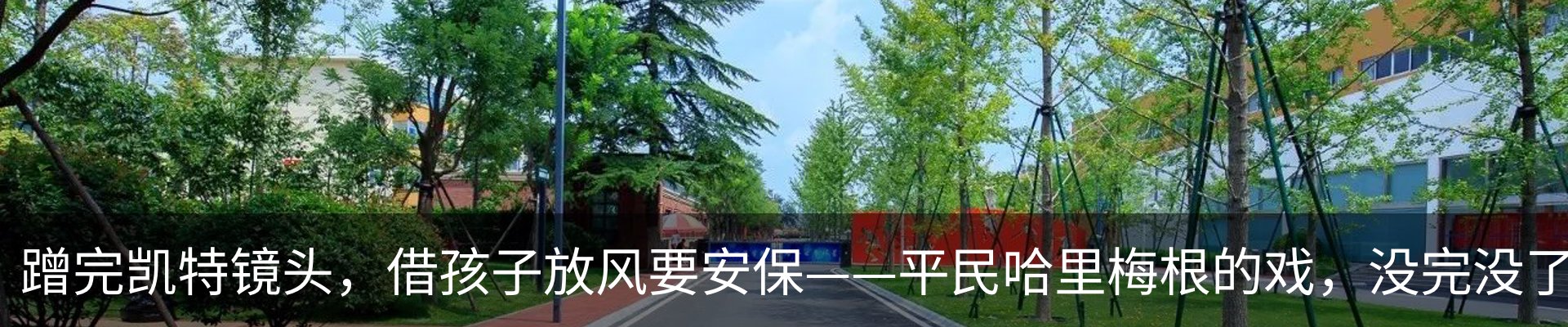 新闻动态