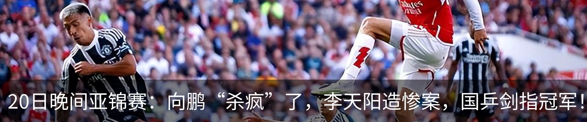 新闻动态