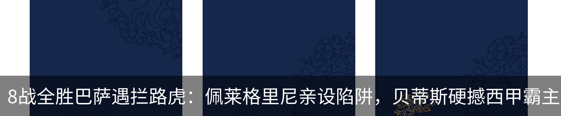 新闻动态
